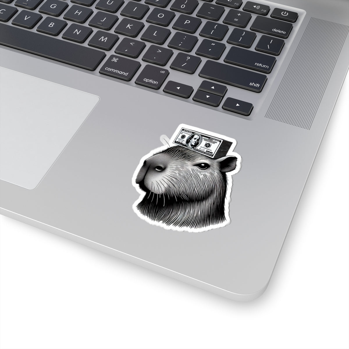 Money-Bara - Capybara Sticker