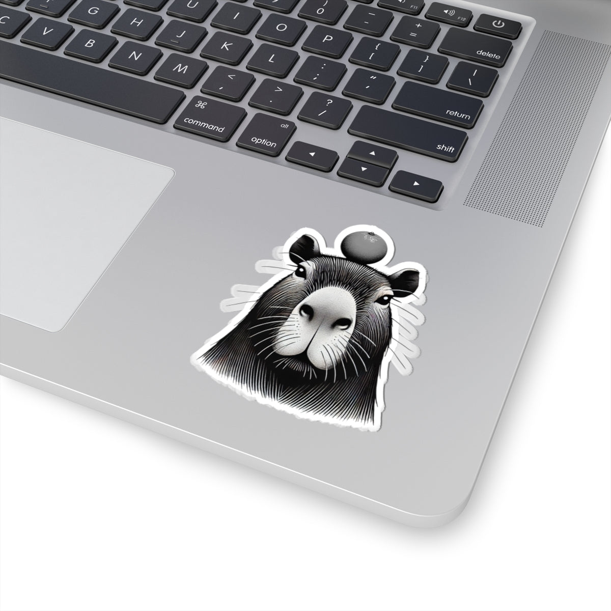 OG-Bara - Capybara Sticker